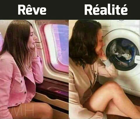 Rêve vs réalité