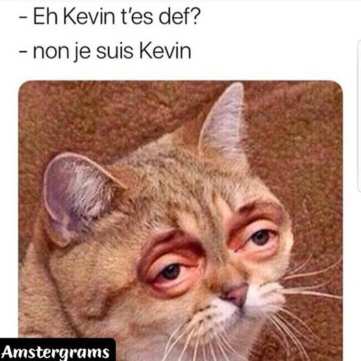 Kevin t'es def?