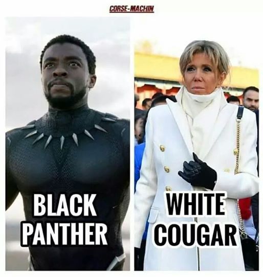 Black panther vs white cougar