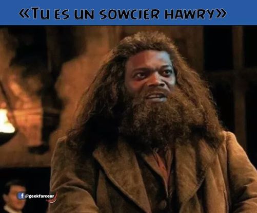 Tu es un sowcier hawry