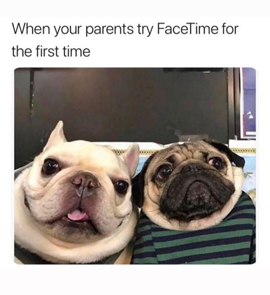 Les parents sur facetime / skype 
